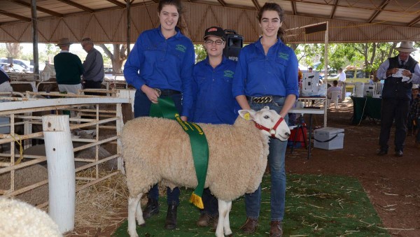 2015 Dunedoo Centenary Show