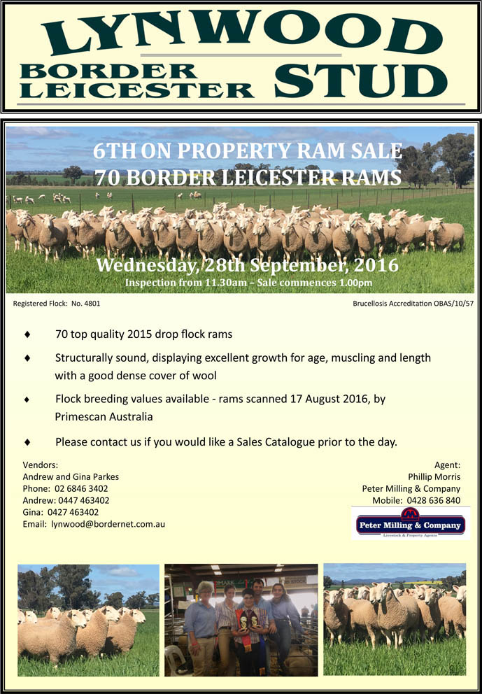 LYNWOOD Border Leicesters FLYER 2016