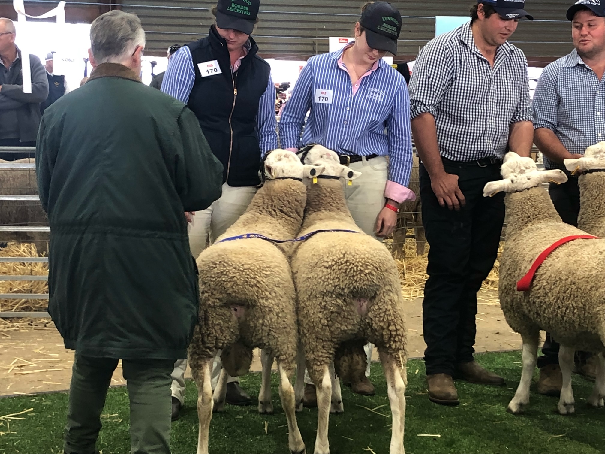 2022 Dubbo Show Highlights