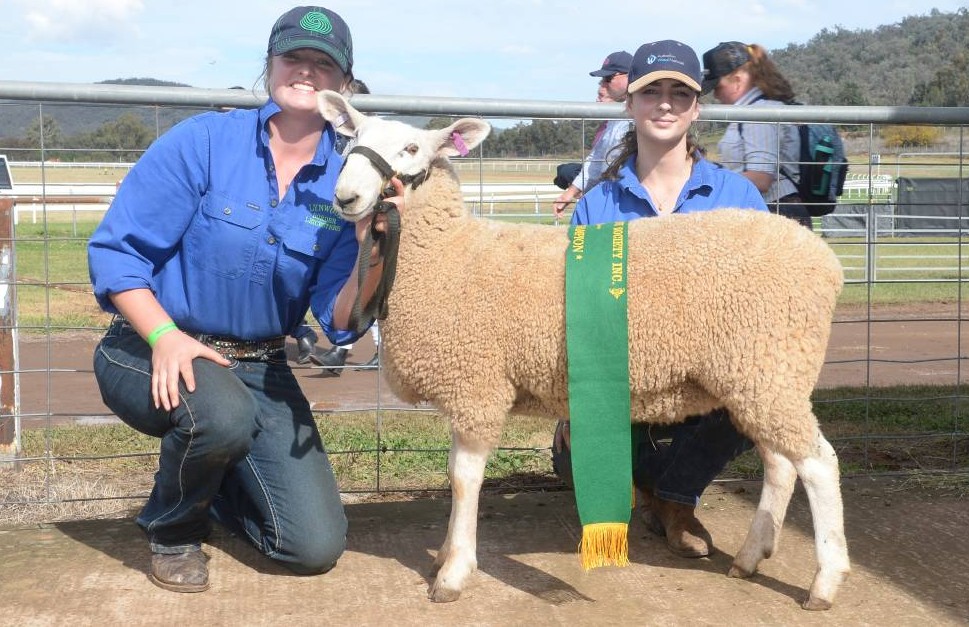 2021 Wellington show reserve champion